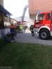 Mittelbrand