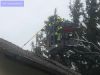 Mittelbrand
